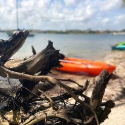 Pelican Sport Pulse 100X With Paddle Kayak -Kayak Adventure Shop KOS10P102 00 LS4