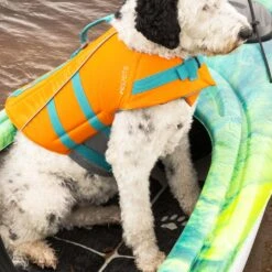 Dog Traction Pad For Kayaks 11 Dog Traction Pad For Kayaks -Kayak Adventure Shop PS1964 00 LS2